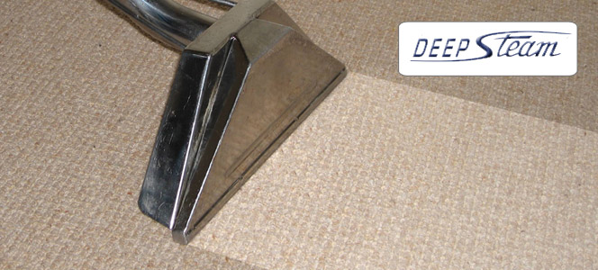 deep steam carpet cleaning - carpet cleaning paso robles - carpet cleaning vacuum